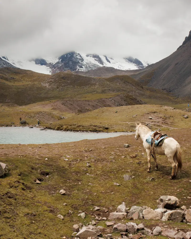 7 lagunas ausangate (2)