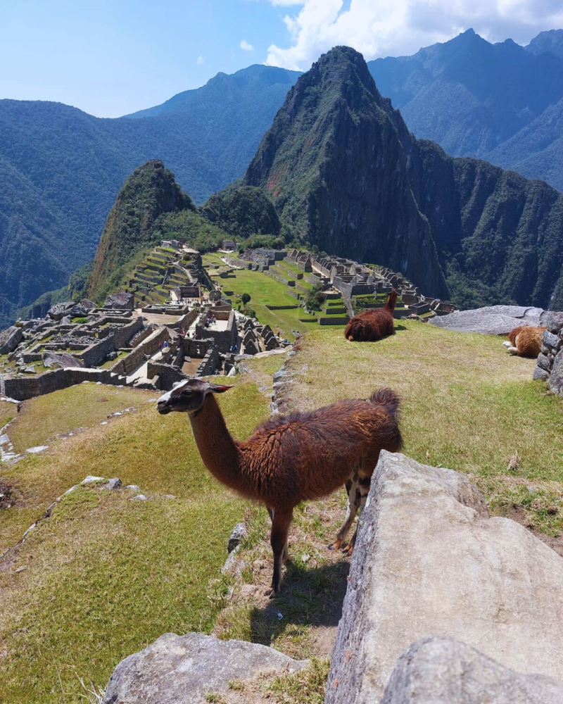 TOUR MACHU PICCHU MANDALAS 6