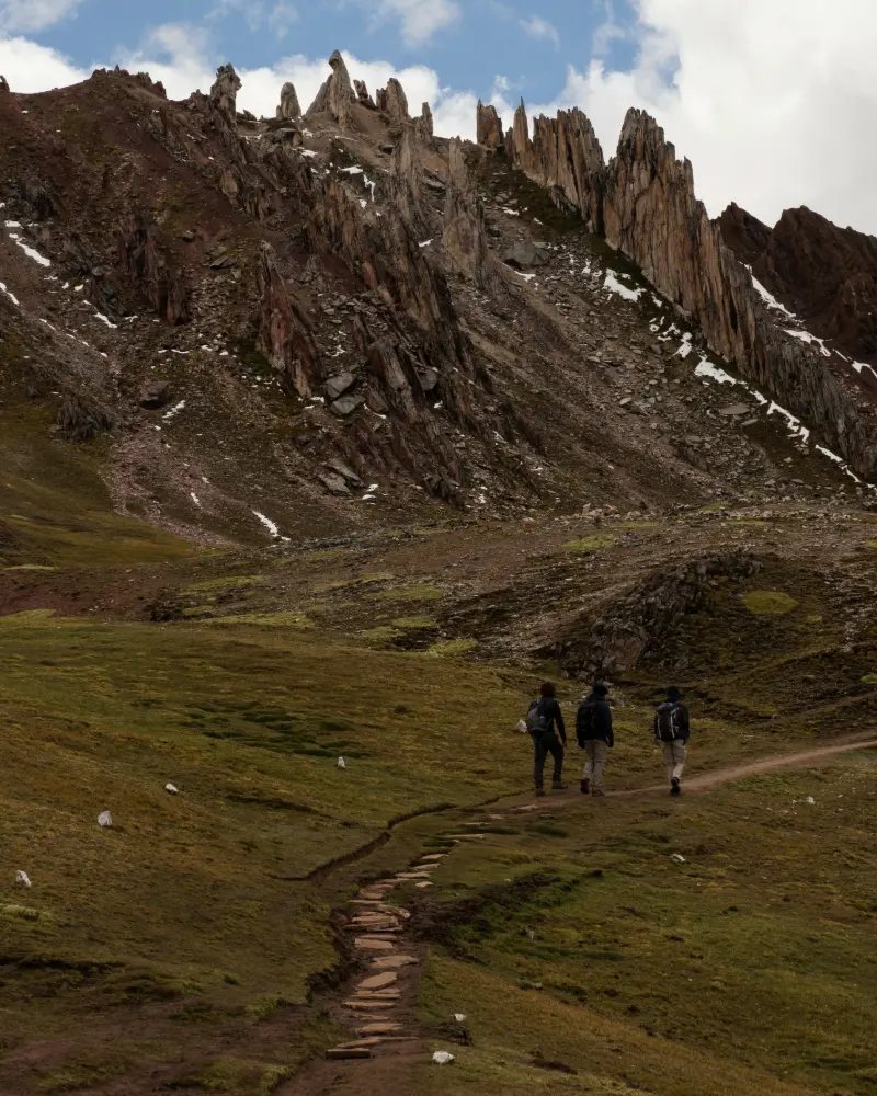 bosque de piedras