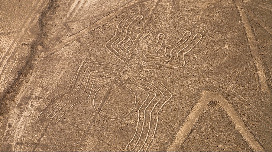 27-imagen-1735482732018