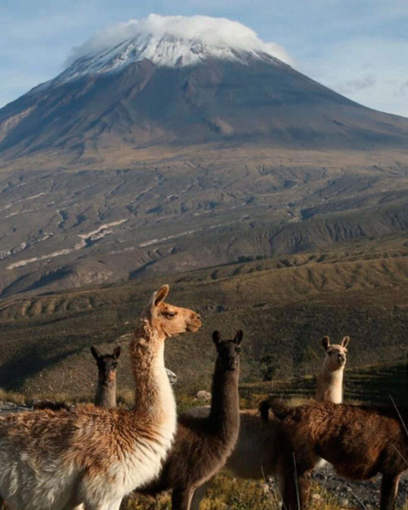 Ascenso-al-Volcán-Misti-2-D/1N – Ruta-Norte