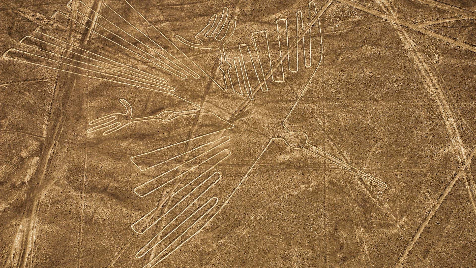 TOUR LINEAS DE NASCA DESDE LIMA