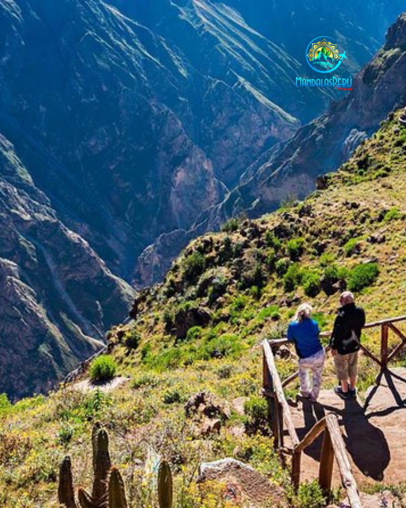 Explorando el Cañón del Colca desde el mirador con vista panorámica de los Andes peruanos