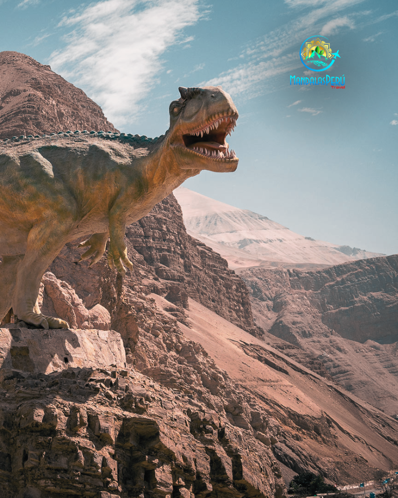 Explorando las formaciones rocosas de Toro Muerto en el valle de Majes, Arequipa, durante el tour cultural de día completo.