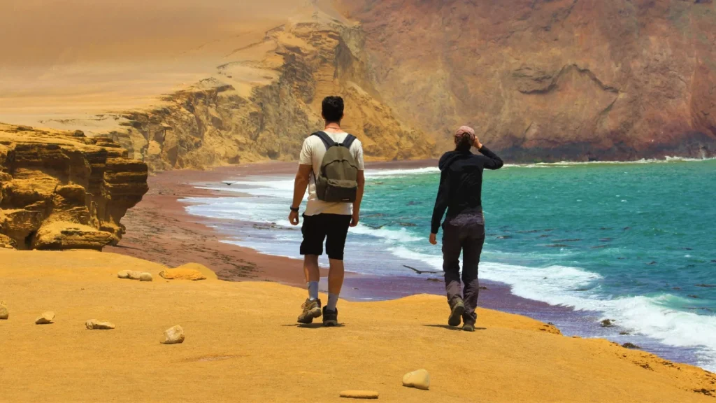 Vista panorámica de la Reserva Nacional de Paracas con su costa, mar azul y formaciones desérticas