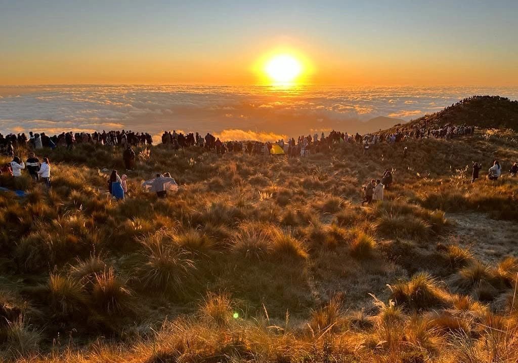 Mirador